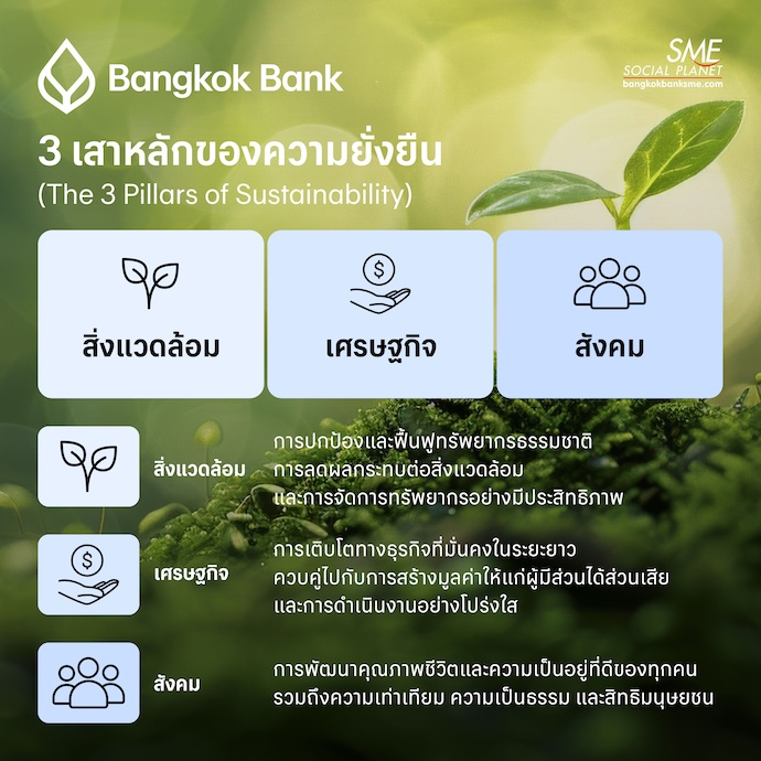sustainability มีอะไรบ้าง