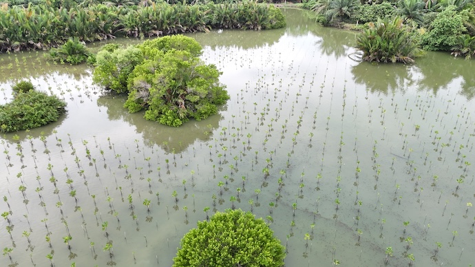 Dji 20250516095915 0034 D