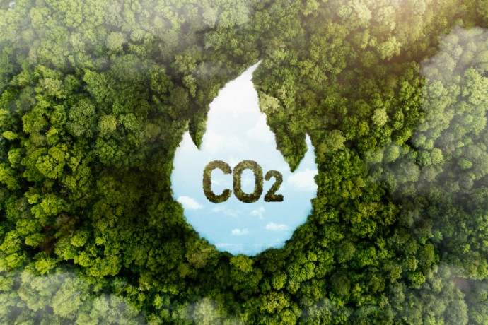 การใช้ข้อมูล Carbon Footprint เพื่อสนับสนุน Green Procurement และการขาย B2B อย่างยั่งยืน