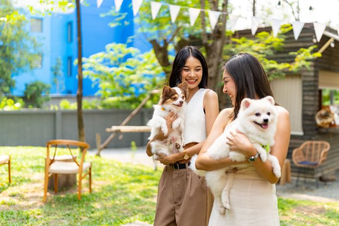 ตลาด Pet-Friendly ตลาดใหม่ของ SME