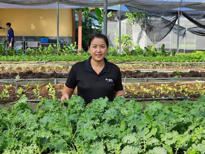 ปลูกผัก smart nine farm