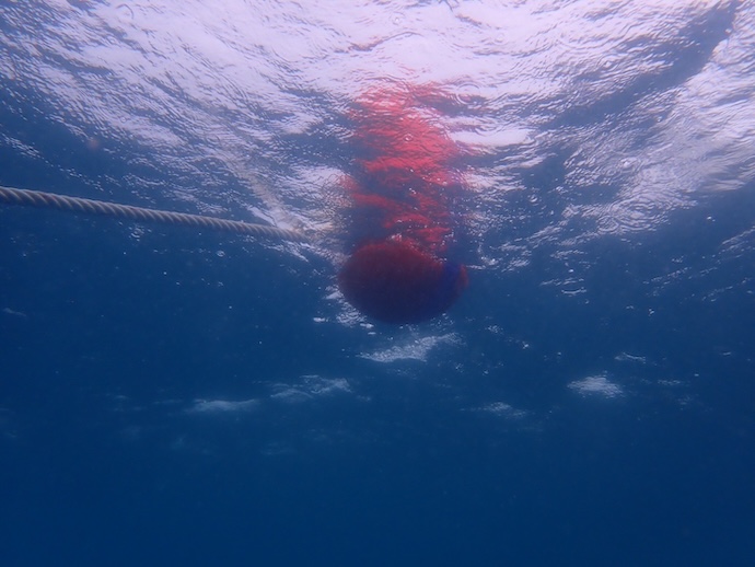 Line Album 231024 241023 10 0