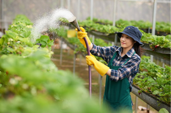 ประสิทธิภาพการใช้ทรัพยากรน้ำในอุตสาหกรรมเกษตร เพื่อสนับสนุน SME สู่ Green Procurement