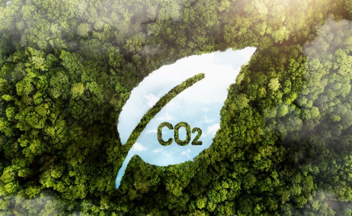 แนวคิดลดคาร์บอนและ CO2 สะท้อนการเตรียมพร้อมรับกฎคาร์บอน
