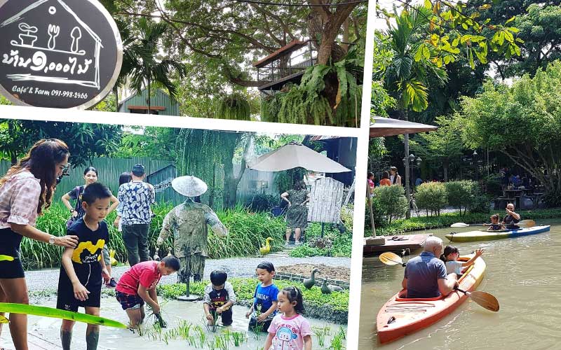 Agro-tourism เที่ยวเชิงเกษตร