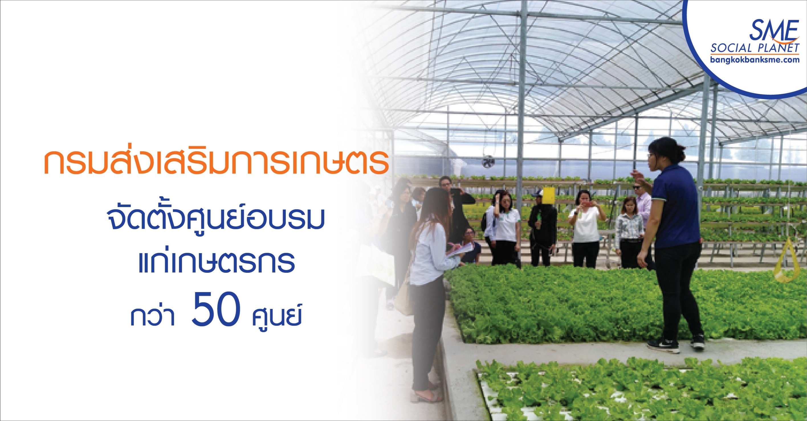 กรมส่งเสริมการเกษตรจัดตั้งศูนย์อบรมแก่เกษตรกรกว่า 50 ศูนย์ กรมส่งเสริมการเกษตรจัดตั้งศูนย์อบรมแก่เกษตรกรกว่า 50 ศูนย์