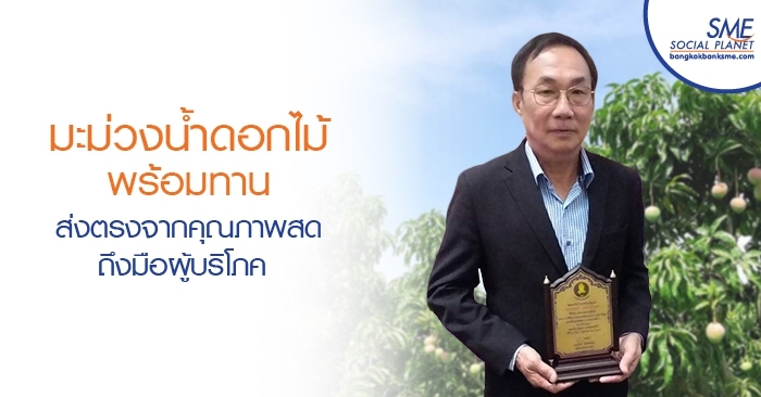 มะม่วงน้ำดอกไม้พร้อมทาน ส่งตรงจากคุณภาพสดถึงมือผู้บริโภค มะม่วงน้ำดอกไม้พร้อมทาน ส่งตรงจากคุณภาพสดถึงมือผู้บริโภค