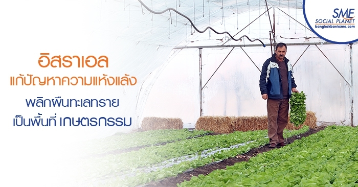 อิสราเอล แก้ปัญหาความแห้งแล้ง พลิกผืนทะเลทรายเป็นพื้นที่เกษตรกรรม อิสราเอล แก้ปัญหาความแห้งแล้ง พลิกผืนทะเลทรายเป็นพื้นที่เกษตรกรรม