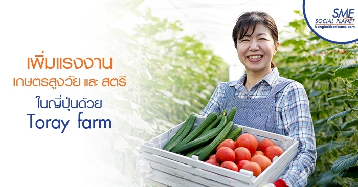 เพิ่มแรงงานเกษตรสูงวัยและสตรีในญี่ปุ่นด้วย Toray farm เพิ่มแรงงานเกษตรสูงวัยและสตรีในญี่ปุ่นด้วย Toray farm